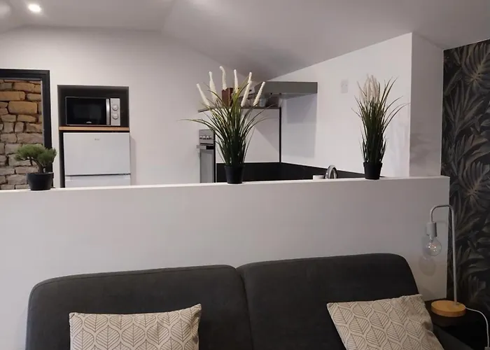 Studio chaleureux en hyper centre